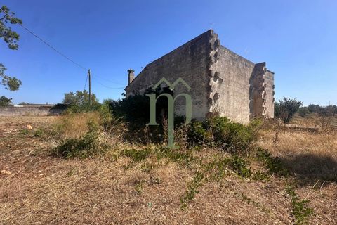 Ruïna a Carovigno, Brindisi, Carovigno - € 225.000 | Ref: Casolare e Trul - foto 12